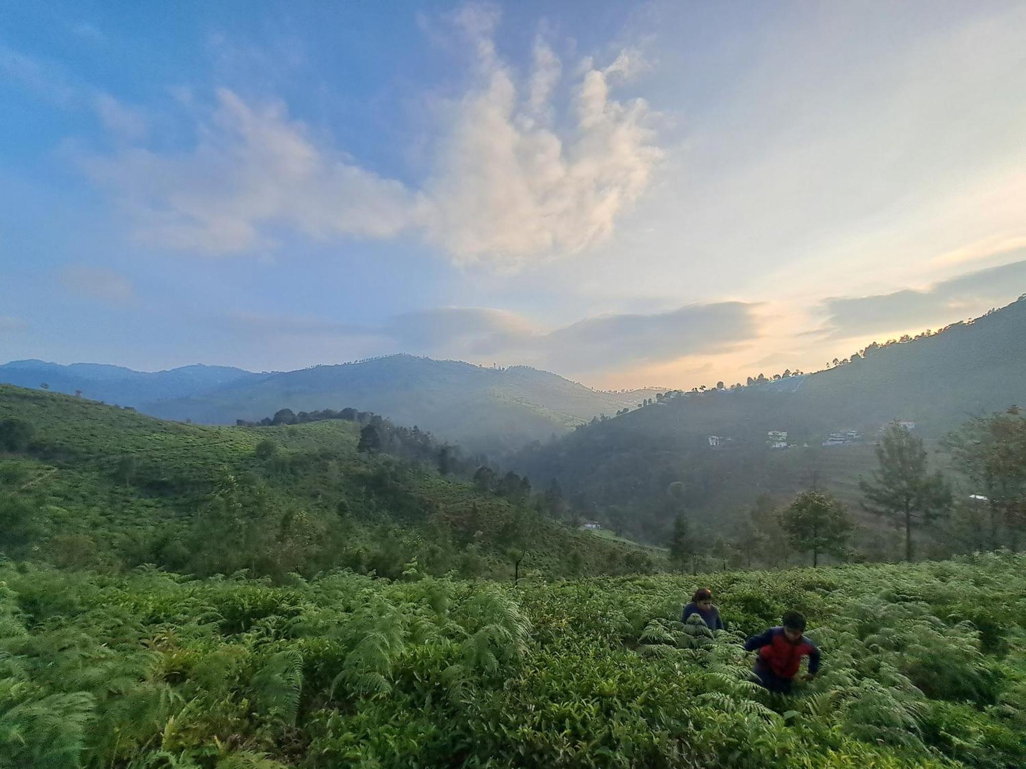 Ghar - Homestay, Where Family Lives Together Aravankadu Ngoại thất bức ảnh